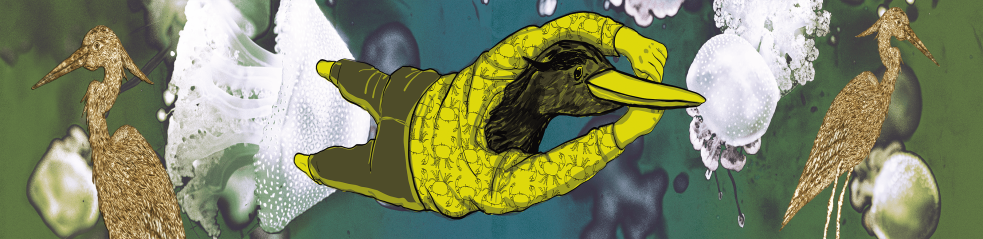 Hérons flottants et méduses 1