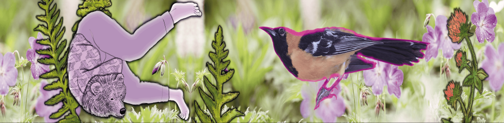 Grenouille, sauterelle et corneille