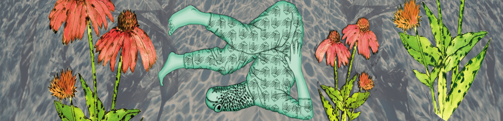 Anguille et pétales rouges