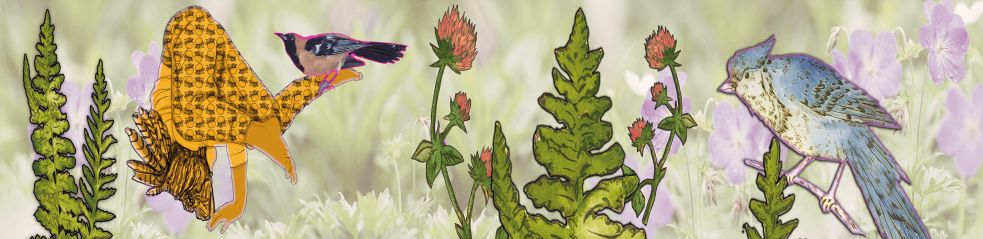 Un poisson, des oiseaux