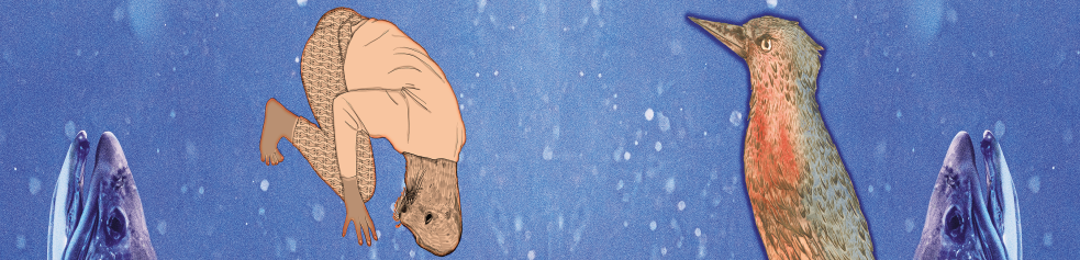 Une gélinotte et un héron