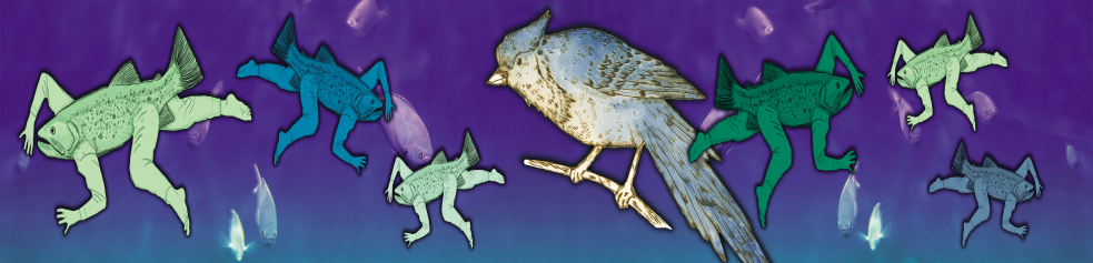 Gélinotte et corail