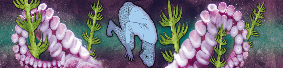 Phoque et pieuvre à plantes