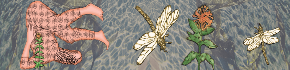 Poisson-lanterne sur la lune