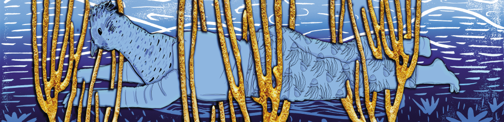 Libellule, grenouille et plantes