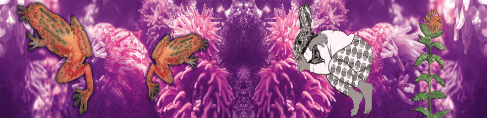 Lièvre, geai et fleurs rouges