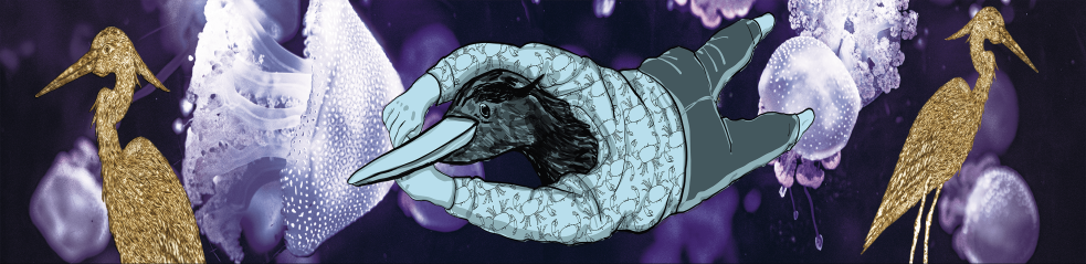 Loutre de l’espace et fleurs jaunes